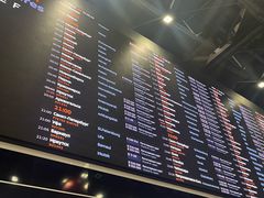 -谢列梅捷沃国际机场