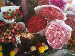 -秦美花卉(天朗·莱茵小城2期店)