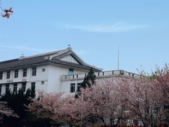 -武汉大学-樱园