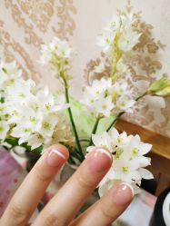 点击看大图 -MOMO·Nail美甲美睫