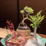 久阪屋的小院直接让我穿越到日本京都～