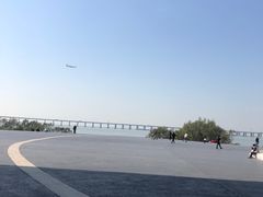 -宝安西湾红树林湿地公园