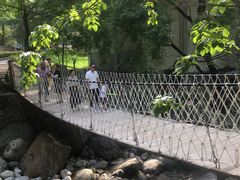 -陕西省红河谷森林公园