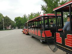 -大兴滨河森林公园