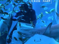 -太平洋海底世界