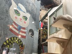 -猫咪博物馆(顶澳仔猫街店)