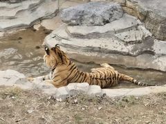 -济南野生动物世界