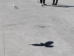 -海河外滩公园