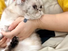 -十年猫舍·猫咪专门店(普陀店)