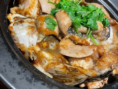-木棉·醉心粤味(COCO Park店)