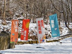 -陕西省红河谷森林公园