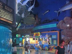 -烟台海昌鲸鲨海洋公园