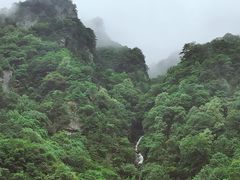 -青峰峡国家森林公园