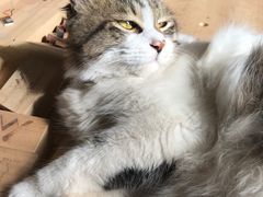 -五月木作·DIY木作文创体验店(北京路店)