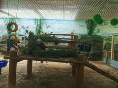 -西霞口神雕山野生动物世界