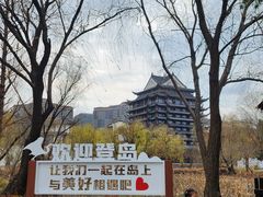 -长兴太湖图影湿地文化园