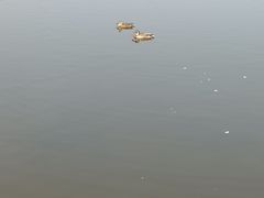 -前关湿地公园