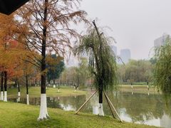 -沐仙湖湿地公园