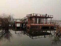 -贡湖湾湿地公园