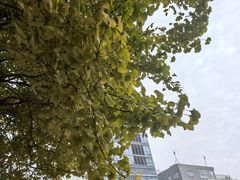 -四川大学(华西校区)