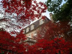 -叶叶菩提·晋福宫