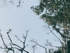 -西安国际创新人才交流中心•药浴温泉
