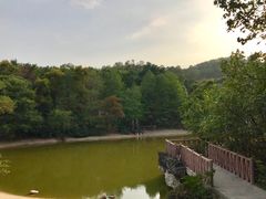 -深圳国际园林花卉博览园