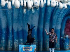 -华夏文旅西安度假区