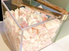 桃心棉花糖-狐狸和向日葵(北京路店)
