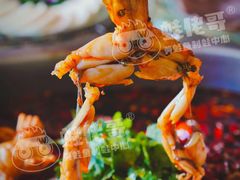-蛙佬哥美蛙鱼火锅(新一中店)