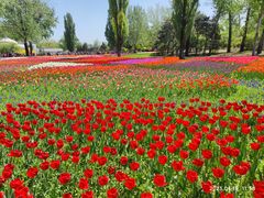 -国家植物园南园