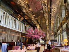 -金轩中餐厅 Jin Xuan(浦东丽思卡尔顿酒店)