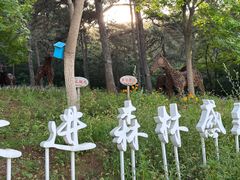 -北京西山国家森林公园