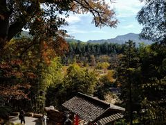 -塔川景区