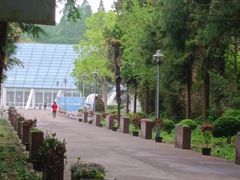 -东平国家森林公园