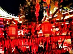 -婺源梦里老家大型山水实景演出