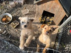 -新怡路亚垂钓园