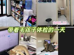 -安安宠医宠物医院·异宠·犬猫内科(岳阳分院)