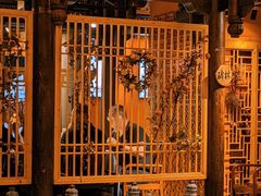 -长安炊烟庭院陕菜(七路明光路店)