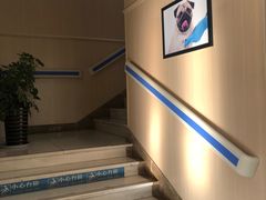 -喜多萌中农锦绣动物医院24H·猫科·牙科MRI·CT