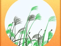 -许小树(国贸商城店)