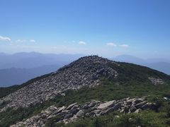 -朱雀国家森林公园