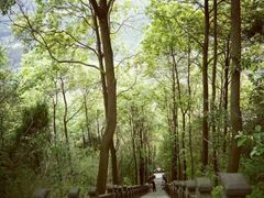 -金堂县云顶石城风景区