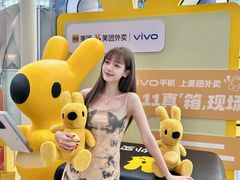 -vivo官方授权体验店(太子路店)