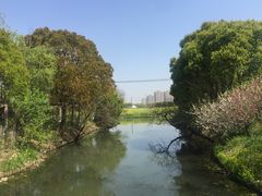 -南汇桃花村