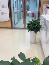 -南京康美美容医院·旗舰店