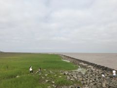 -南汇嘴观海公园