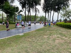 -宝安西湾红树林湿地公园