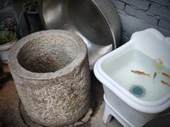 -郭师傅冰稀饭(人民路店)