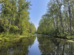 -溱湖国家湿地公园